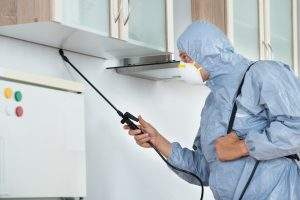 Hiring A Pest Control Company