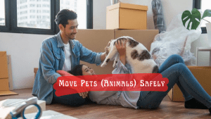 Move Pets Safely